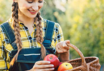 paniers de fruits bio en entreprise