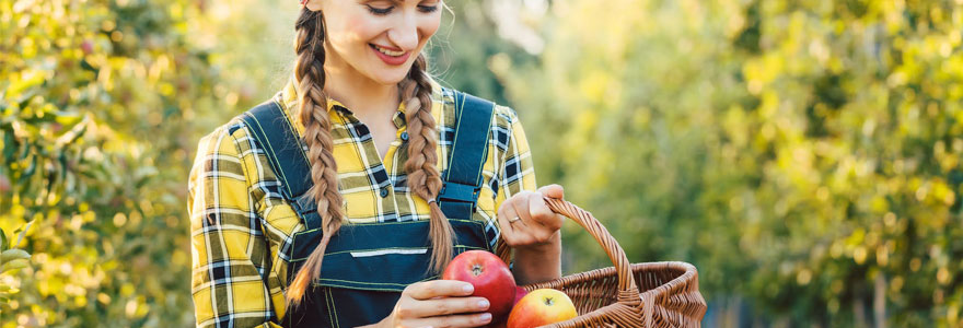 paniers de fruits bio en entreprise